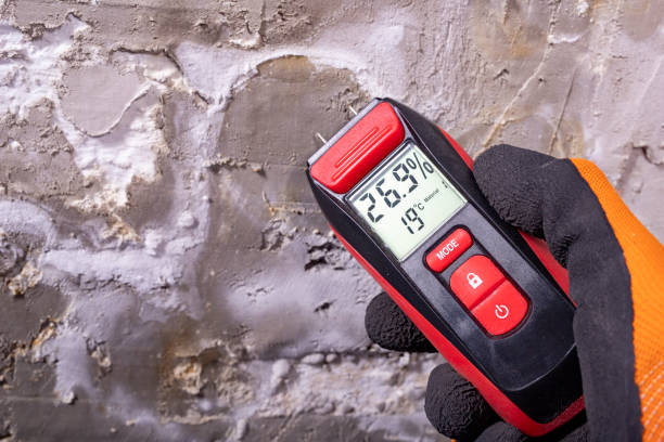 Best Mold Testing and Inspection Services in Reedspt, OR