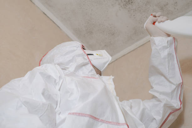 Best Commercial Mold Remediation in Reedspt, OR