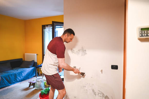 Best DIY Mold Remediation Support Services in Reedspt, OR